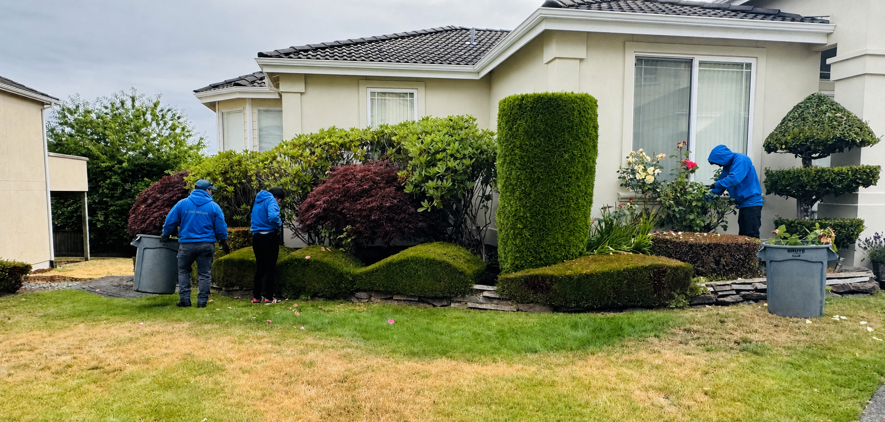 Crew trimming shaped shrubs and hedges at a home