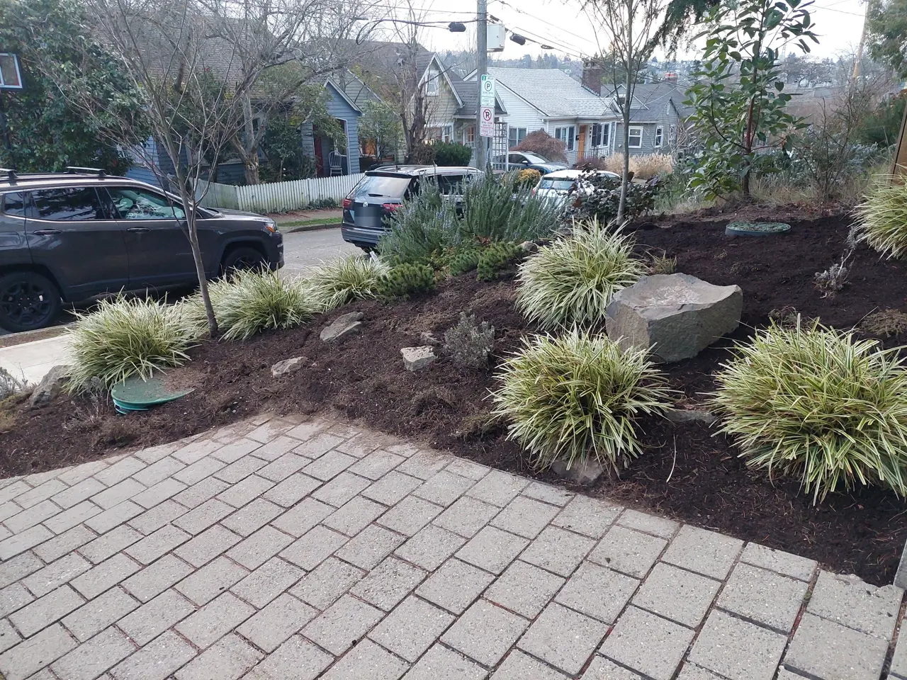 Front-yard planting bed with ornamental grasses and a boulder beside a paver walk